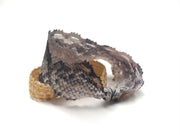 Hayworth - Bandtz. Closeup on snake print elastic lace hair tie. 